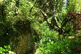 Interior del Jardín Botánico de Santa Catalina