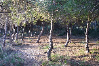 P1050956