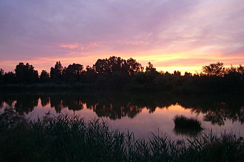 Atardecer en la laguna del Guadiamar