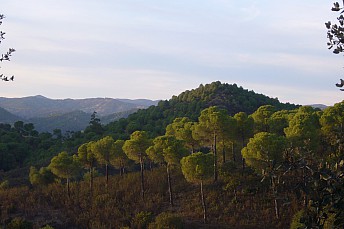 P1080120