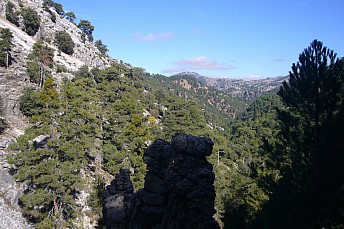 P1080266