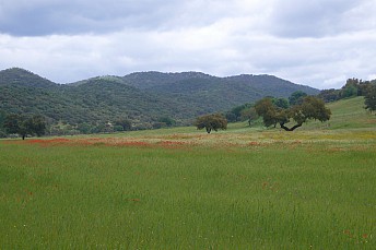 P1090649