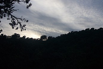 P1110295
