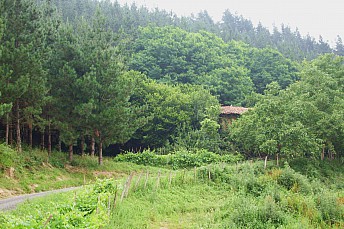 Paisaje de Dima