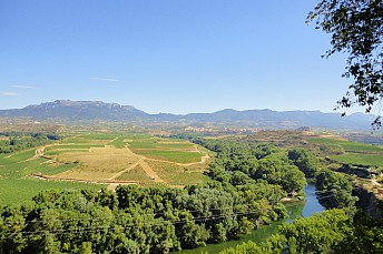 Paisaje riojano