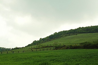 Pastos de Olárizu
