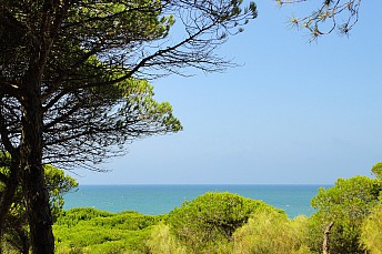 Pinares de Rota