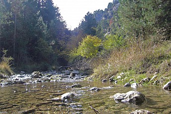 Río en Cazorla